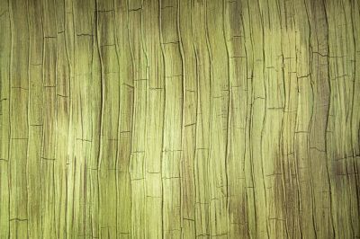 Textured and Specialty Finishes